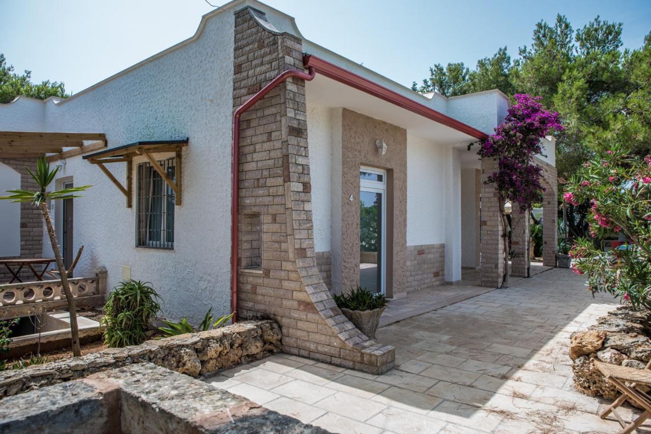 Mamire Bed & Breakfast